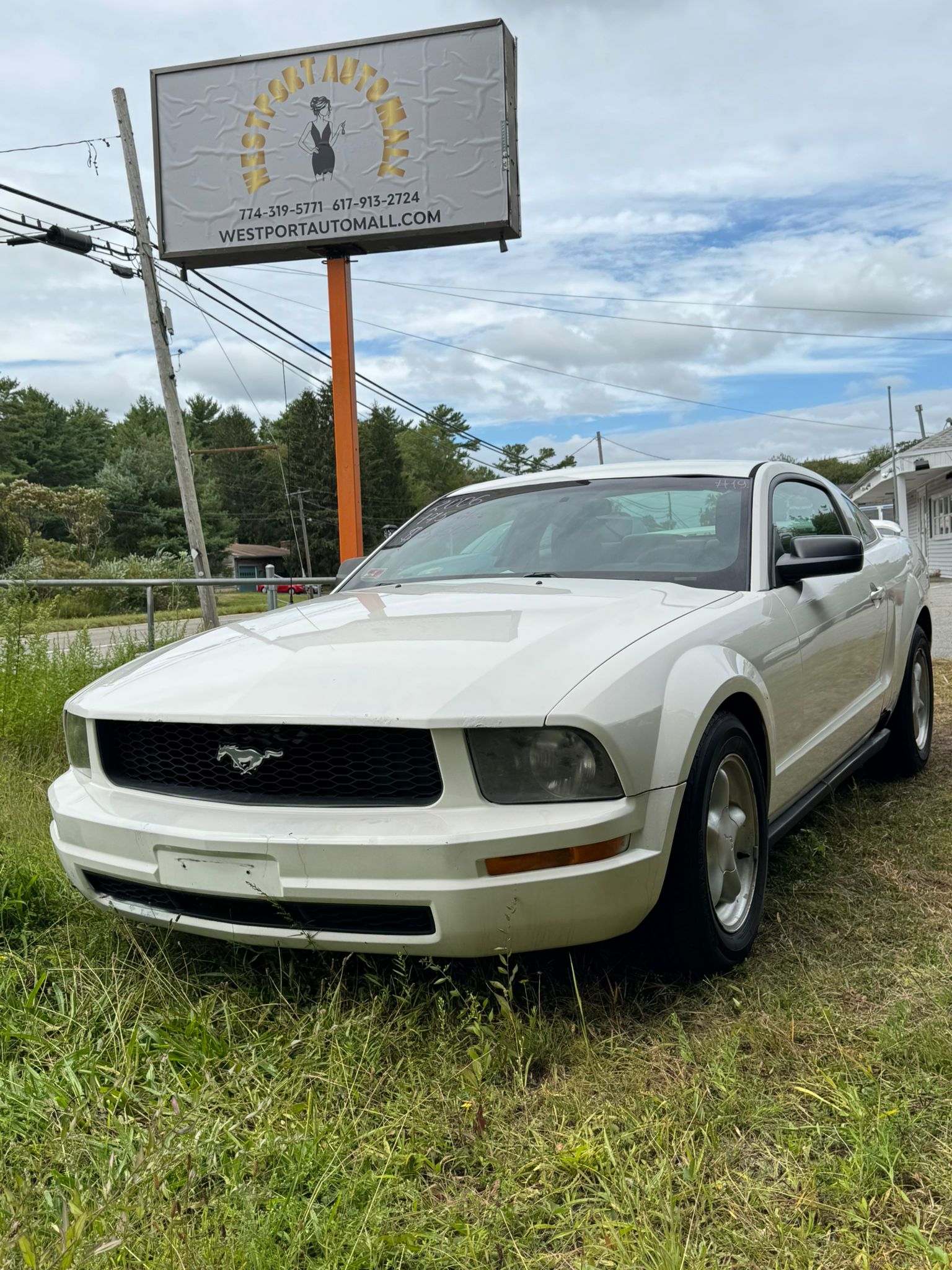 
								2006 Ford Mustang, $5.900 full									